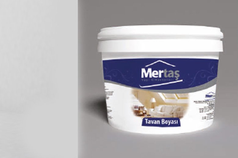 Tavan Boyası
